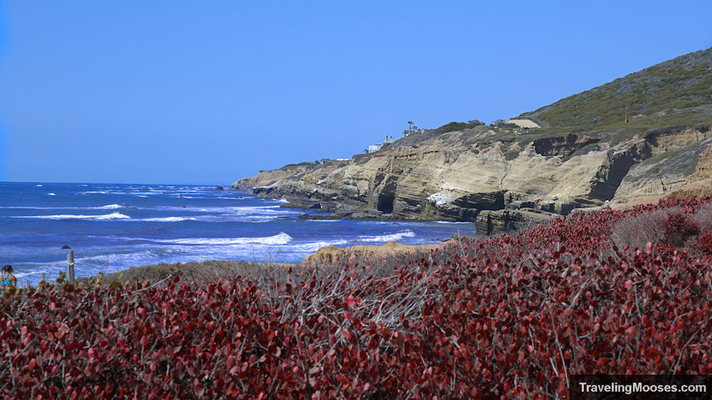 Explore Cabrillo National Monument