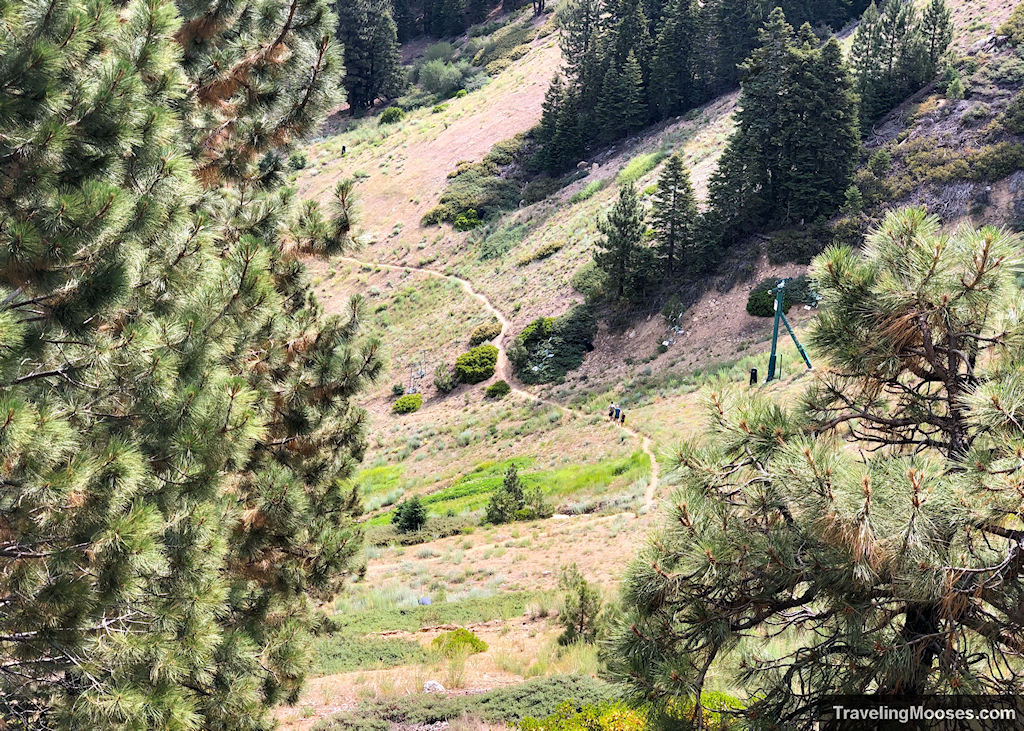 Bobsled hiking trail in Big Bear California