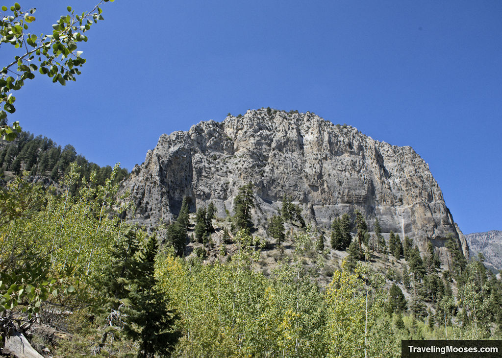 Exploring the Cathedral Rock Trail in Mt. Charleston