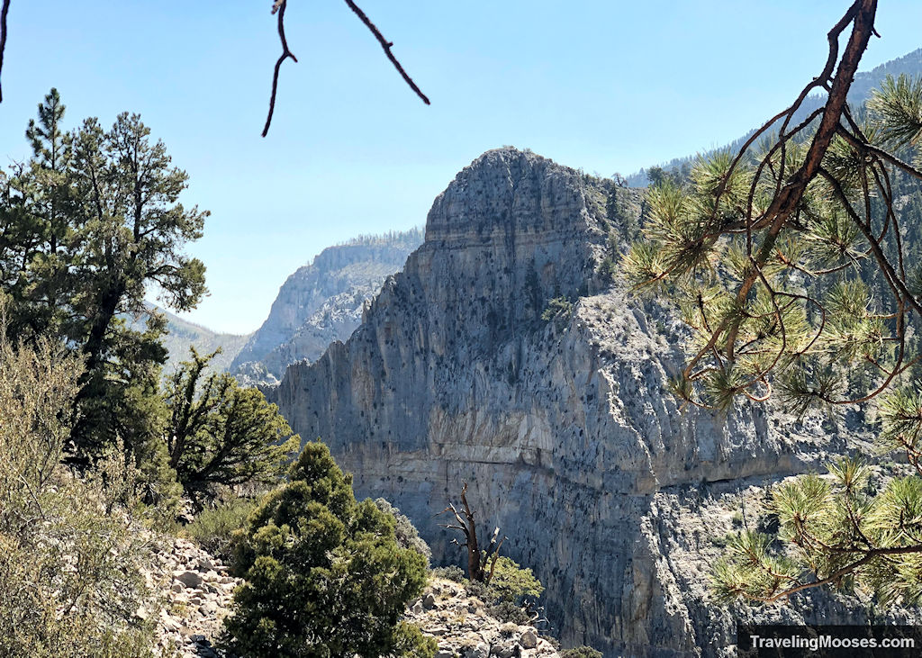 Easy hiking trails on Mt. Charleston