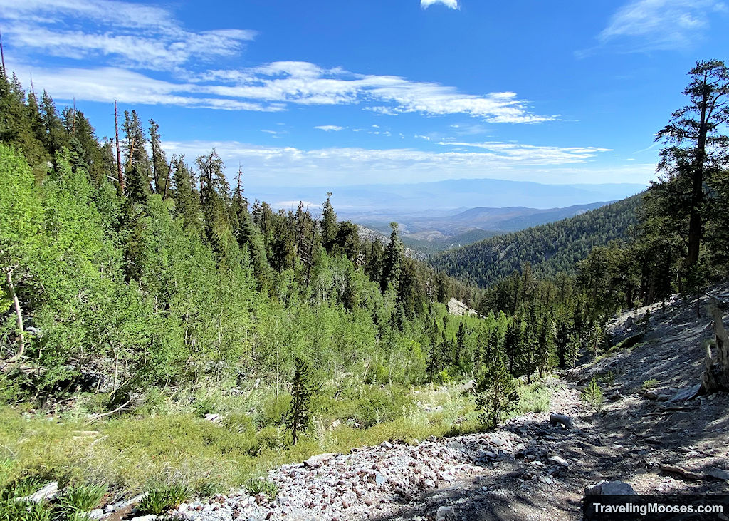 Amazing Mount Charleston Hikes (You won’t want to miss!)