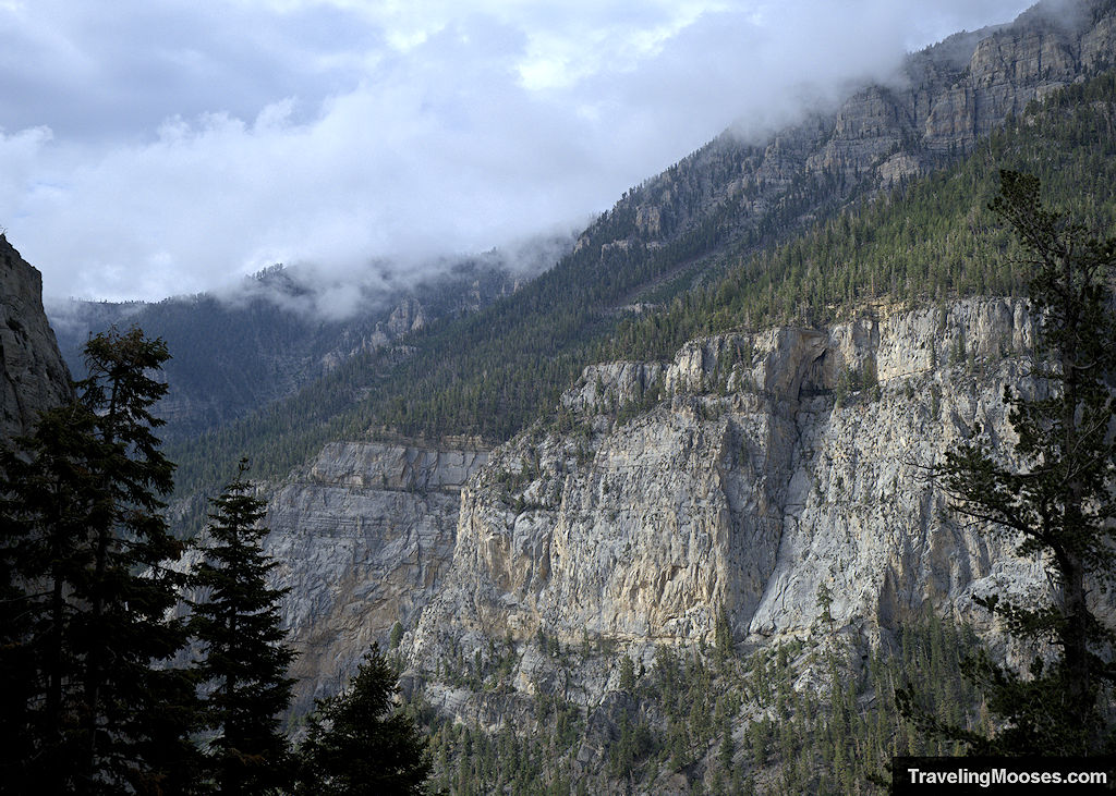 Mary Jane Falls Trail – Mount Charleston, NV