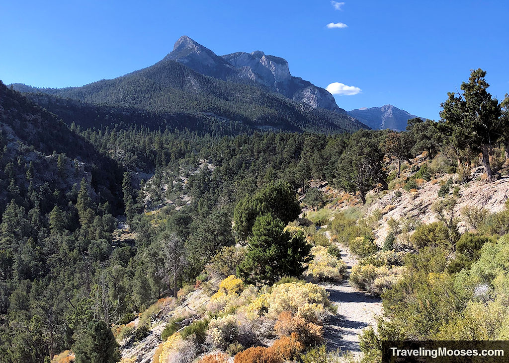 Lee Canyon Narrows from Blue Tree Trail