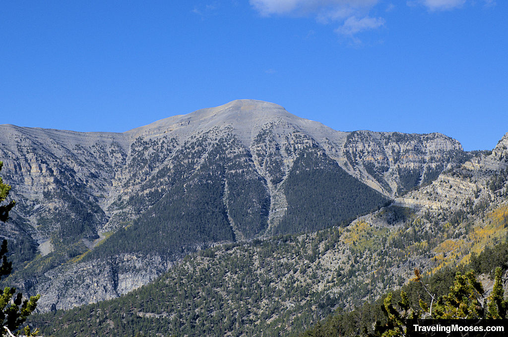 Mt Charleston Hikes