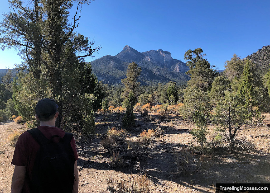 Hiking the Sawmill Trail in Mt. Charleston