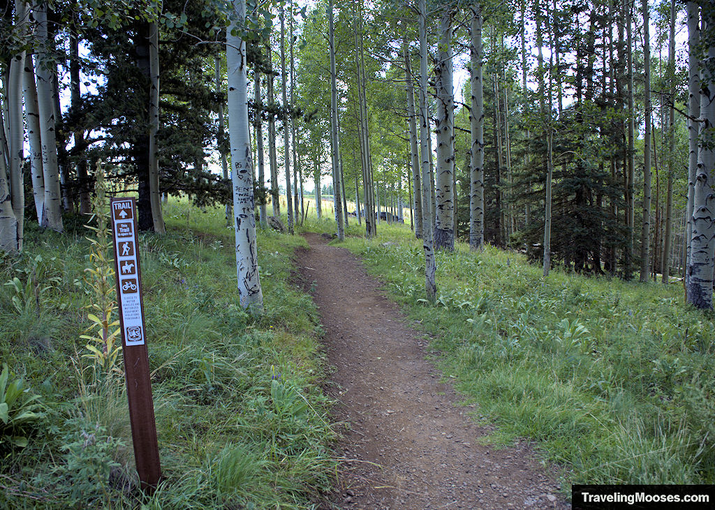 Hiking the Aspen Loop trail in Flagstaff, AZ