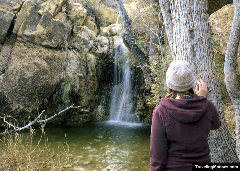 First Creek Canyon Trail – finding the hidden waterfall