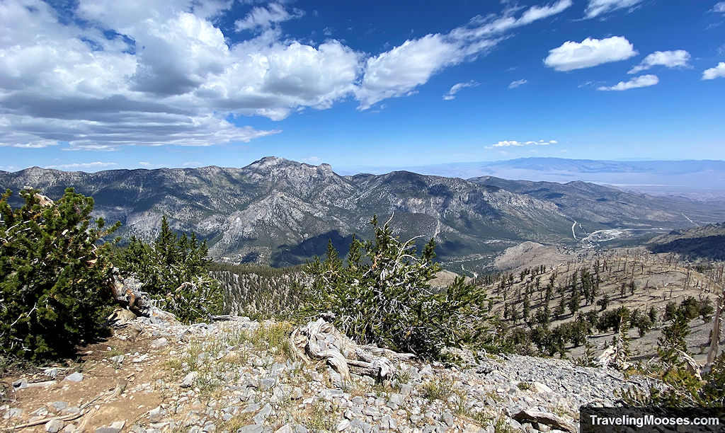 AI vs Reality: Planning a Mt. Charleston Hiking Weekend with ChatGPT